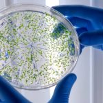 O que é a legionella, doença que se espalha em Nova York: o ar condicionado é um fator de contágio?