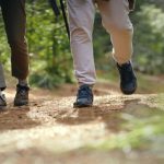 Eles passeiam pelas montanhas, encontram uma caixa de metal e descobrem um tesouro de 1808 no valor de mais de 300.000 euros
