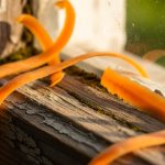 Utilização da casca de cenoura nas molduras das janelas: por que é recomendável e para que serve
