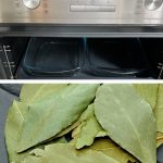 Para que serve colocar folhas de louro no forno: um remédio caseiro para eliminar os maus odores na cozinha