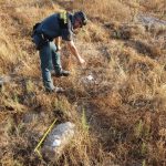 Trabalhos agrícolas numa zona rural em Cáceres causaram danos num sítio arqueológico no valor de 6 milhões de euros