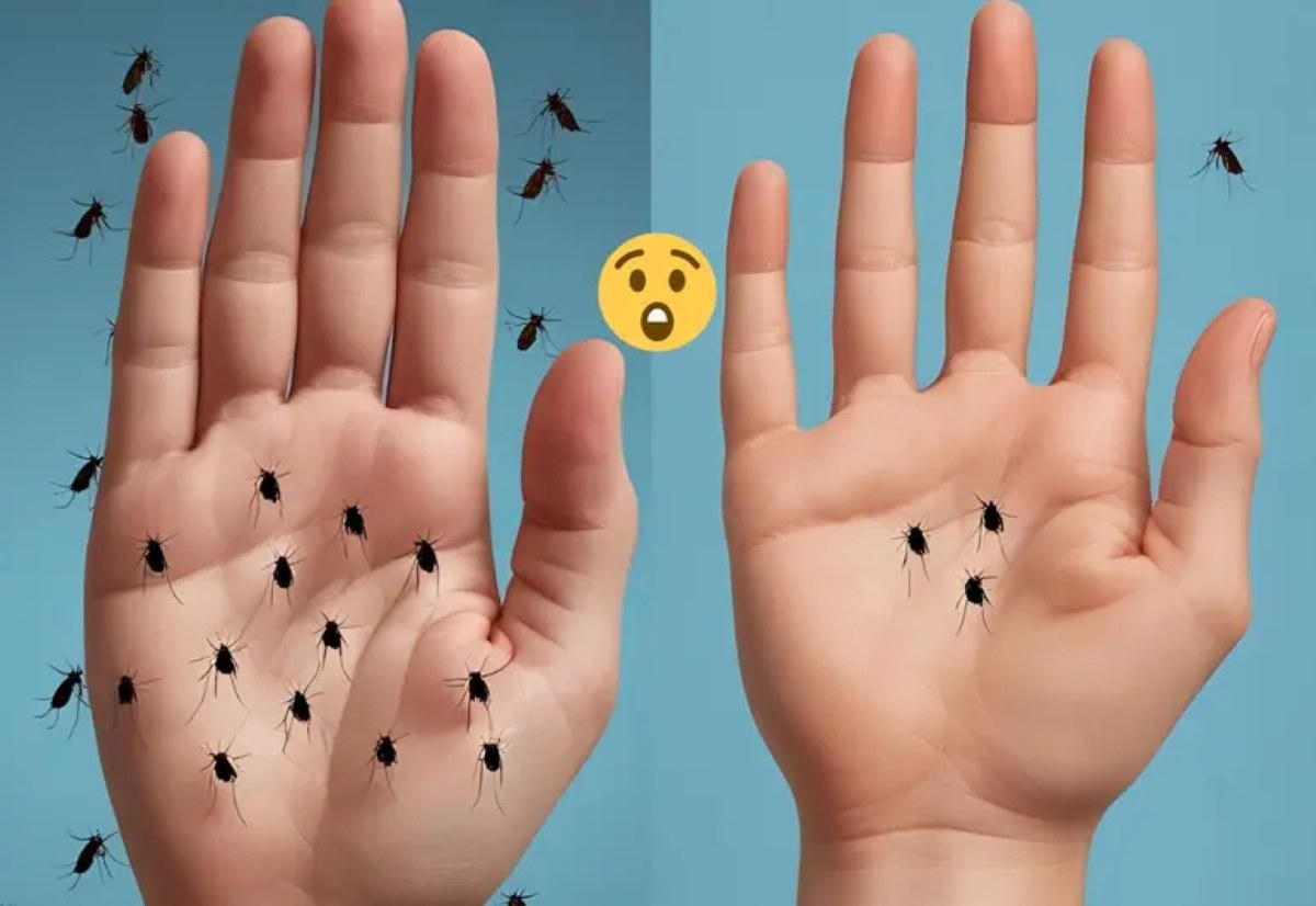 Repelente caseiro contra mosquitos, eficaz dia e noite: livre-se deles para sempre no seu quarto!