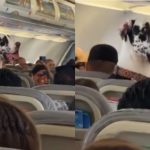 Os passageiros do avião não acreditam no seu companheiro de viagem, que transportam no assento como se fosse uma pessoa: “Ele definitivamente não se levantou antes da aterragem”.