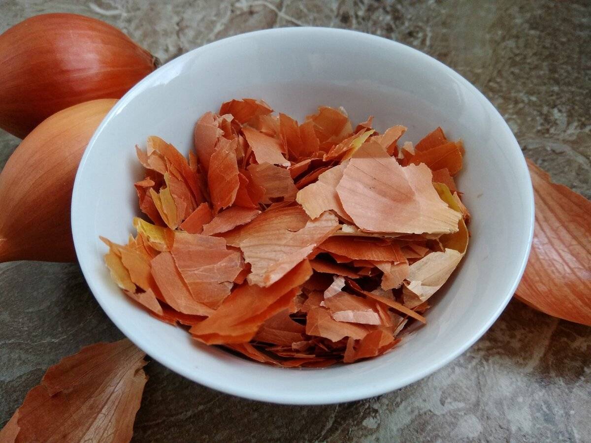 Para que serve a casca de cebola e por que é considerada um tesouro?