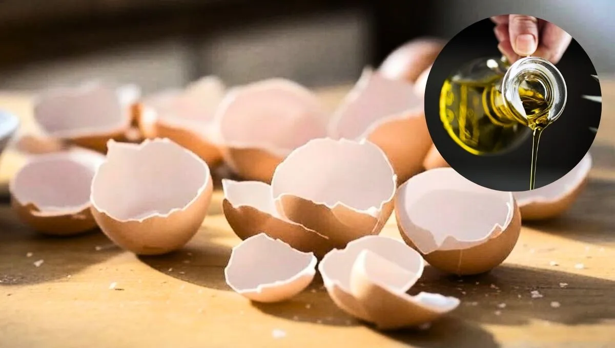 Mistura de casca de ovo e azeite: por que é recomendada e para que serve?