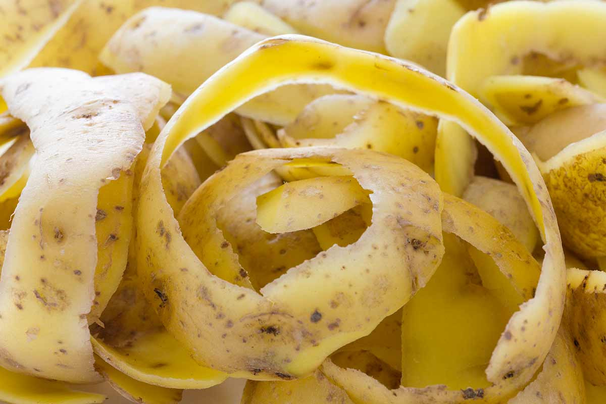 Colocar descascadores de batata nos cantos do forno: por que é recomendável.