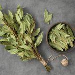 Onde colocar folhas de louro para atrair prosperidade, de acordo com o Feng Shui.