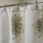 Acabou-se o mofo na cortina do chuveiro: o truque definitivo para deixá-la como nova.